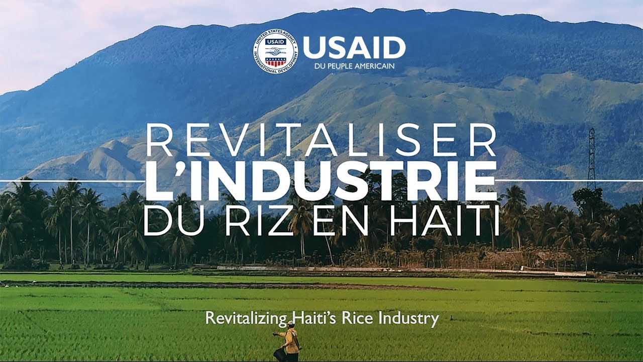 Strengthening Haiti’s Rice Sector in the Northern Region.