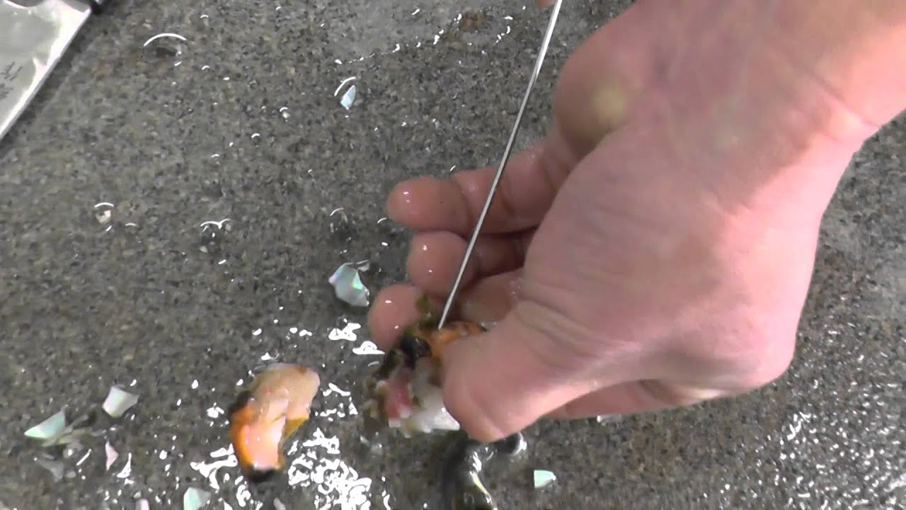 コブダイ釣りを攻略 時期や仕掛けから考える大物を狙うコツとは 3ページ目 暮らし の