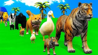Download Lagu Long Slide Game With Cow Elephant Gorilla Hippopotamus Tiger 3d Animal Game Funny 3d Animals MP3