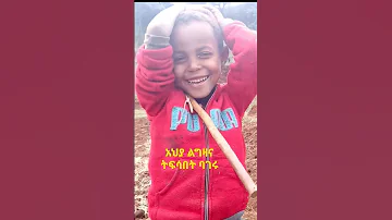 Short ቀረርቶ አህያ ልግዛና ትፍሳበት ባገሩ Song Singer Love Singing Music Shorts Habesha Ethiopian Funy 