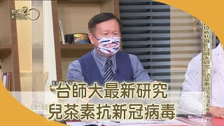 抗疫新利器！台師大研究：兒茶素可抗新冠病毒【聚焦2.0】第407集
