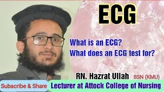 ECG lecture # 1 | Deep Discussion ECG or EKG in Pashto | RN. Hazrat Ullah screenshot 1