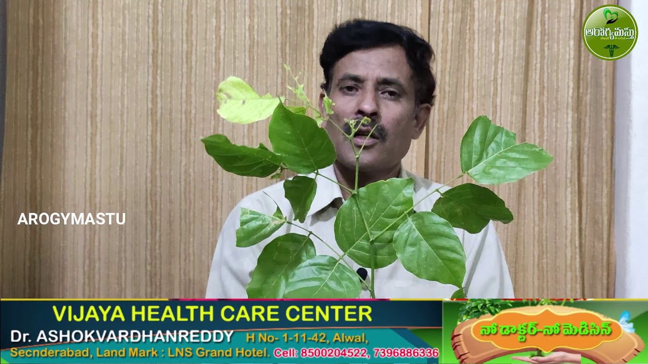 ఫిస్టులా తో ఇంకా బాధ పడనవసరం లేదు - Ayurveda Remedy for Fistula Explained in Telugu by Dr. Ashok