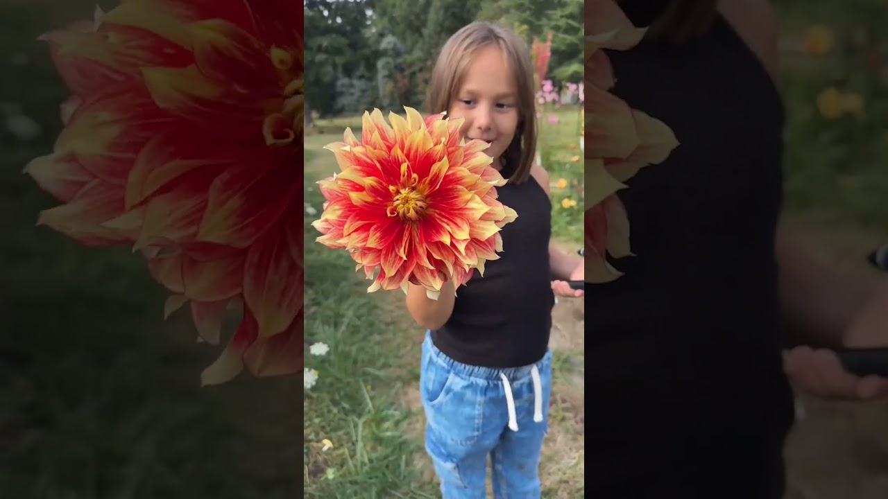 Find Summer Flowers In Oregon 