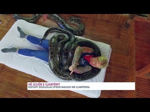 Video: A përfshin Anaconda Conda?