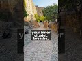 Stoic Mindset Mastery