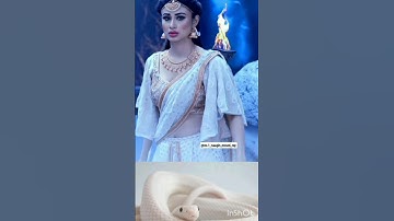all naagin actress dress 👗 matching snake #shorts #youtube #video #viral #ytshorts #trending