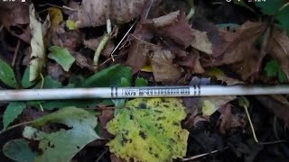 Old Easton XX75 Gamegetter II 2216 Aluminum Arrow Found in the Woods