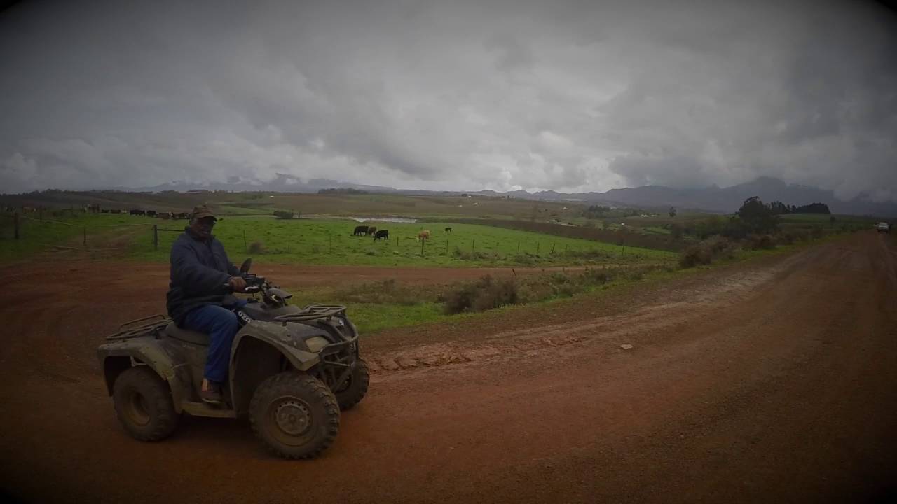 Oak Valley Shiraz 2014