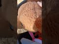 at the park pt.3 last part