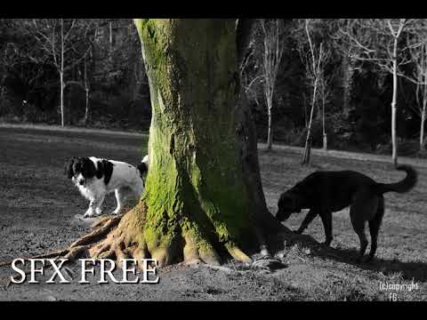 Gorilla Warfare Non Copyright Sound Effects Sfx 