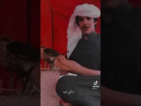 رجال يحب صقر