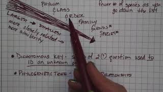 notes B8B Taxonomy