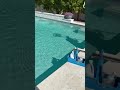 Certified pool tech. Certified dog person. 🐕💧