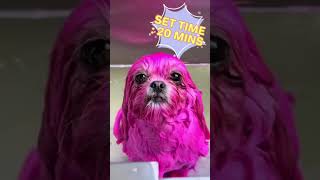 Splash Of Color In Every Bath With Opawz Funky Dog Color Shampoo