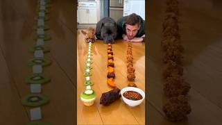 #dog #chihuahua #eatingchallenge #funny #pets