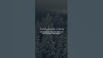 محمد اللحيدان - يا أيها الذين آمنوا استعينوا بالصبر والصلاة #القرآن_الكريم #محمد_اللحيدان #تلاوة