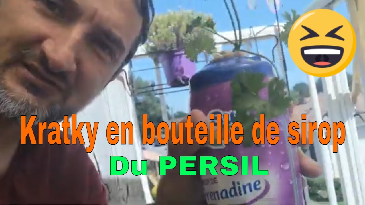 KRATKY du persil dans une bouteille de sirop différence avec la culture terre