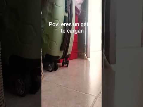 14 de febrero de 2026