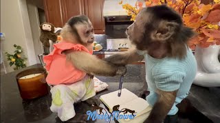 The Cutest Monkey Talk Ever! Monkeys Angelika & Toby ❤❤❤❤