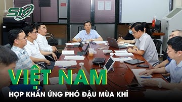 Lo Ngại Đậu Mùa Khỉ, Việt Nam Họp Khẩn Ứng Phó Ngay Từ Khi Được Cảnh Báo | SKĐS