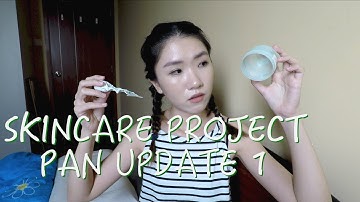 SKINCARE 20 IN 2020 PROJECT PAN UPDATE 1