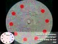 7th Gate / Gravitation / 2002