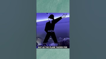 Pigeons on a Plane: Delta Flight Delayed by Feathered Stowaways #youtubeshorts #shorts #funny #like