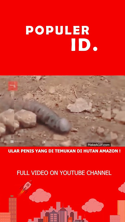 WAH ULAR INI MIRIP PENIS #shortvideo #viral #shorts