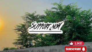 Subribe Now My Youtube Channel