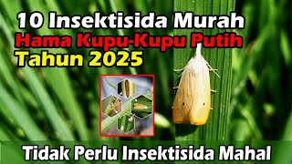 RECOMMENDED 10 EFFECTIVE INSECTICIDES FOR WHITE BUTTERFLY PESTS