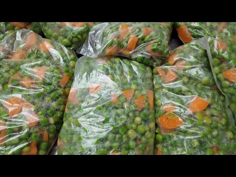 طريقة تخزين البسله بدون ماء مغلي ولا ماء مثلج تقعد عندك من السنه لسنه