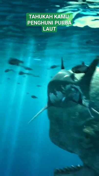 TERNYATA???penghuni misterius laut dalam
