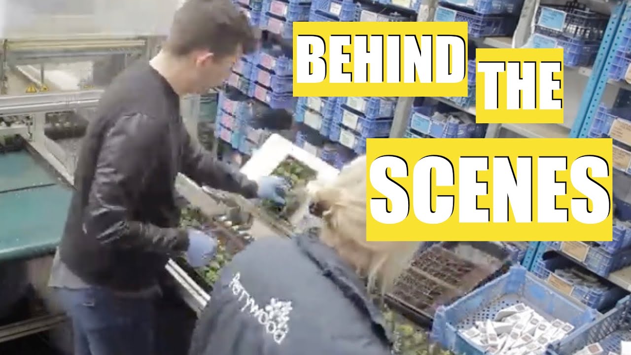 BEHIND THE SCENES OF A GARDEN CENTRE