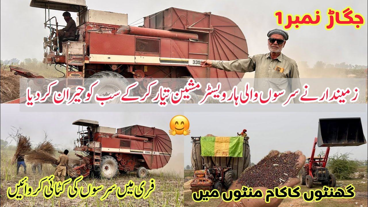 زمیندار نے اپنی سرسوں کٹائی اور گہائی کرنے والی ہارویسٹرز مشین تیار کردی سرسوں کی کٹائی اب فری میں