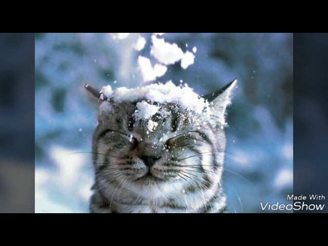 Песни На Новый Год На Французском Песни На Новый Год На Французском