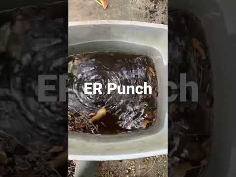 ER Punch