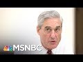IRS 'Specialized, Secretive Investigative' Unit Aiding Robert Mueller | The Last Word | MSNBC