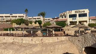 Egypt Sharm el Sheikh Египет Шарм эль Шейх 