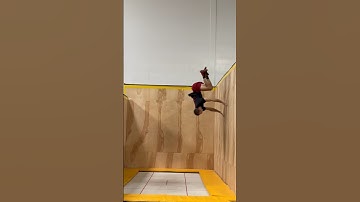 Should I make an Inward Vampire tutorial? #trampwall