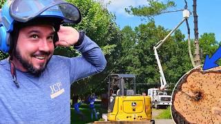"Give Me a Good Price, I'll Give You a Cigar" | Ant Infested Tree Job