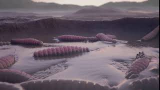 Houdini Vellum  Larvae simulation screenshot 3