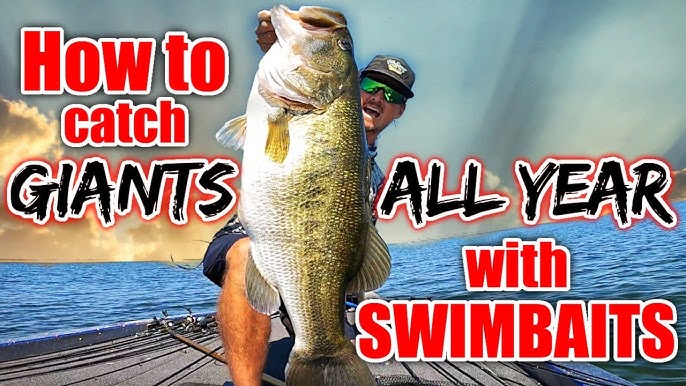 BUYER'S GUIDE: BEST SOFT SWIMBAITS 