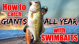 How to Catch Fish YEAR ROUND with Big Swimbaits! (BEST Bait for Each Situation)