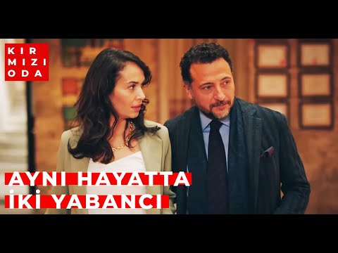 Kırmızı Oda 31. Bölüm | NİHAL ve ZAFER