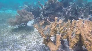 Belize Spring Break 2017