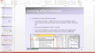 Microsoft Project 2013 Workshop in Live Virtual Classroom - Part 1 of 2
