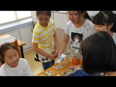 2018 금호초등학교 학교홍보영상
