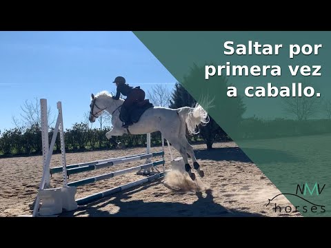 Video: 5 formas de prepararse para un concurso de caballos