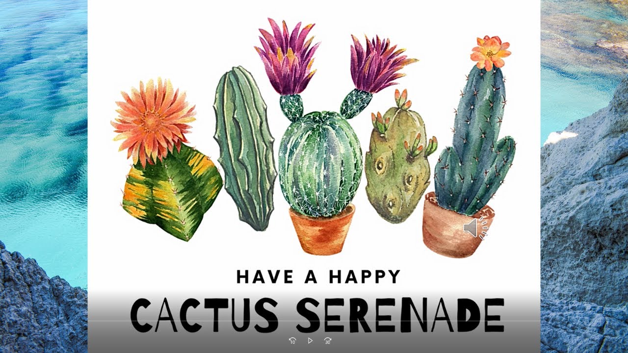 Cactus Serenade